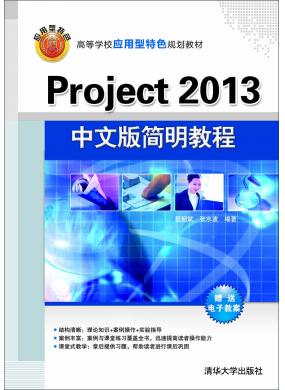 Project 2013İ̳