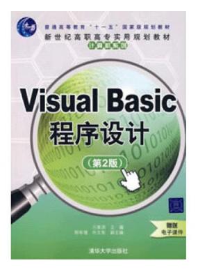 Visual Basicƣ2棩